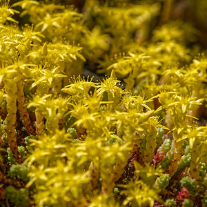 NIKON_2023_01410NF.jpg