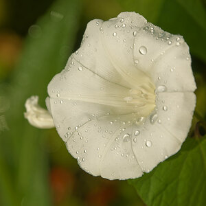 NIKON_2023_01416NF.jpg