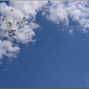 Löwenhimmel-1.jpg