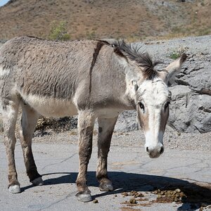 DSC_1087.jpg