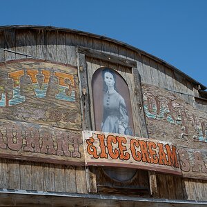 DSC_1100.jpg