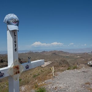 DSC_1118.jpg