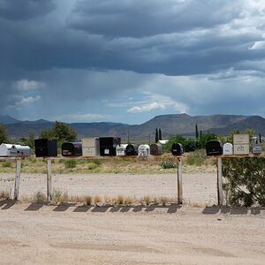 DSC_1125.jpg
