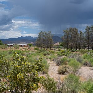DSC_1128.jpg