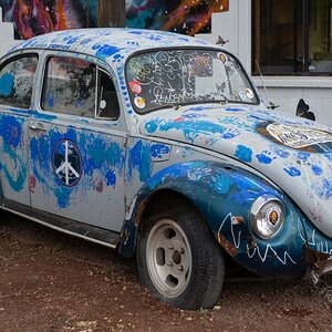DSC_1132.jpg