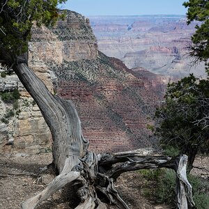 DSC_1160.jpg