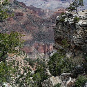 DSC_1161.jpg