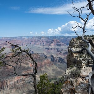 DSC_1162.jpg