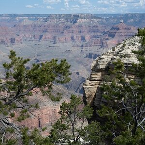DSC_1164.jpg