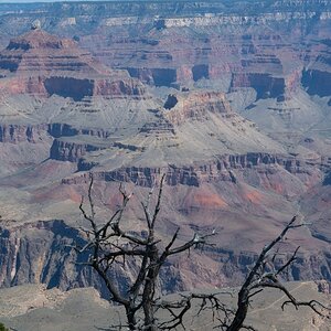 DSC_1168.jpg