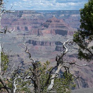 DSC_1169.jpg