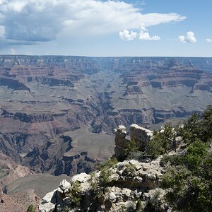 DSC_1170.jpg