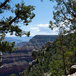 DSC_1178.jpg