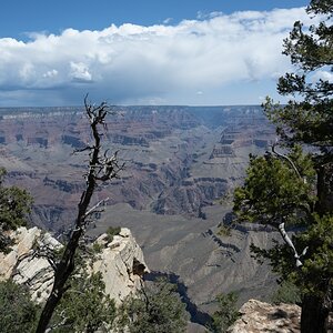 DSC_1181.jpg