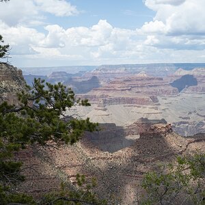 DSC_1199.jpg