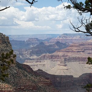 DSC_1200.jpg