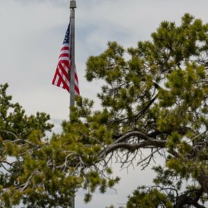DSC_1210.jpg