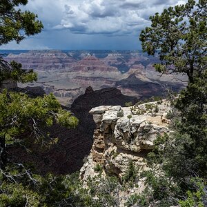 DSC_1212.jpg