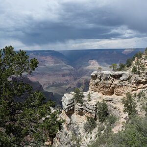 DSC_1223.jpg