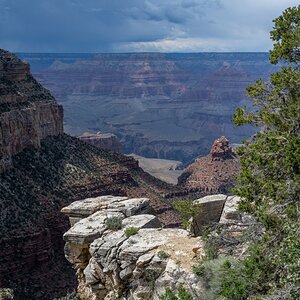 DSC_1224.jpg
