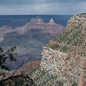 DSC_1226.jpg