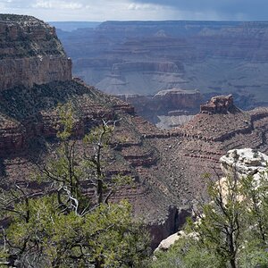 DSC_1228.jpg