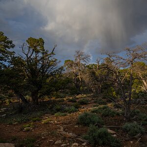 DSC_1268.jpg