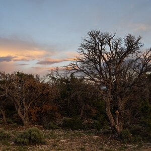 DSC_1293.jpg
