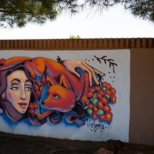 DSC_1369.jpg