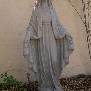 DSC_1403.jpg