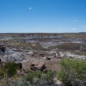 DSC_1436.jpg