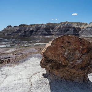 DSC_1447.jpg