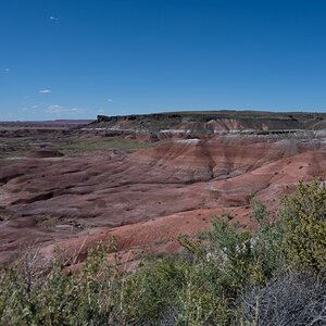 DSC_1451.jpg