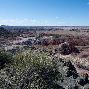 DSC_1469.jpg