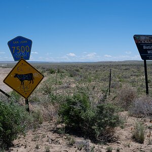 DSC_1481.jpg