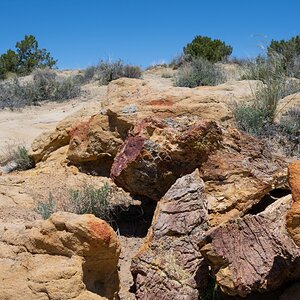 DSC_1487.jpg