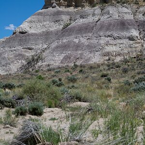 DSC_1494.jpg
