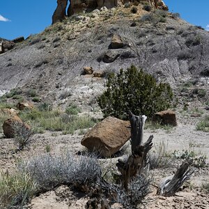 DSC_1503.jpg