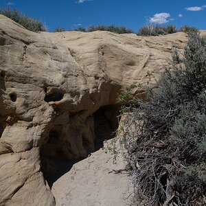 DSC_1507.jpg