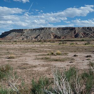 DSC_1510.jpg