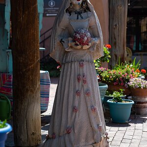 DSC_1527.jpg