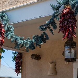 DSC_1536.jpg