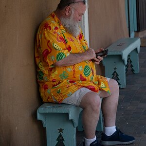 DSC_1564.jpg