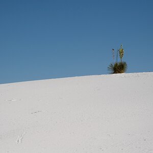 DSC_1787.jpg