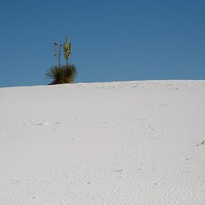 DSC_1790.jpg