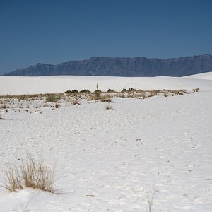 DSC_1796.jpg