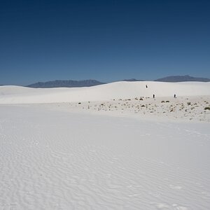 DSC_1803.jpg