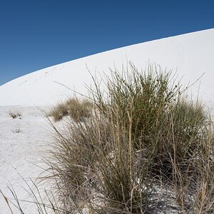 DSC_1819.jpg