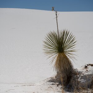 DSC_1823.jpg