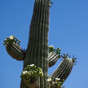 DSC_1909.jpg